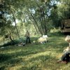 работа с полевым дневником, лагерь на реке Таштып, 1987 год